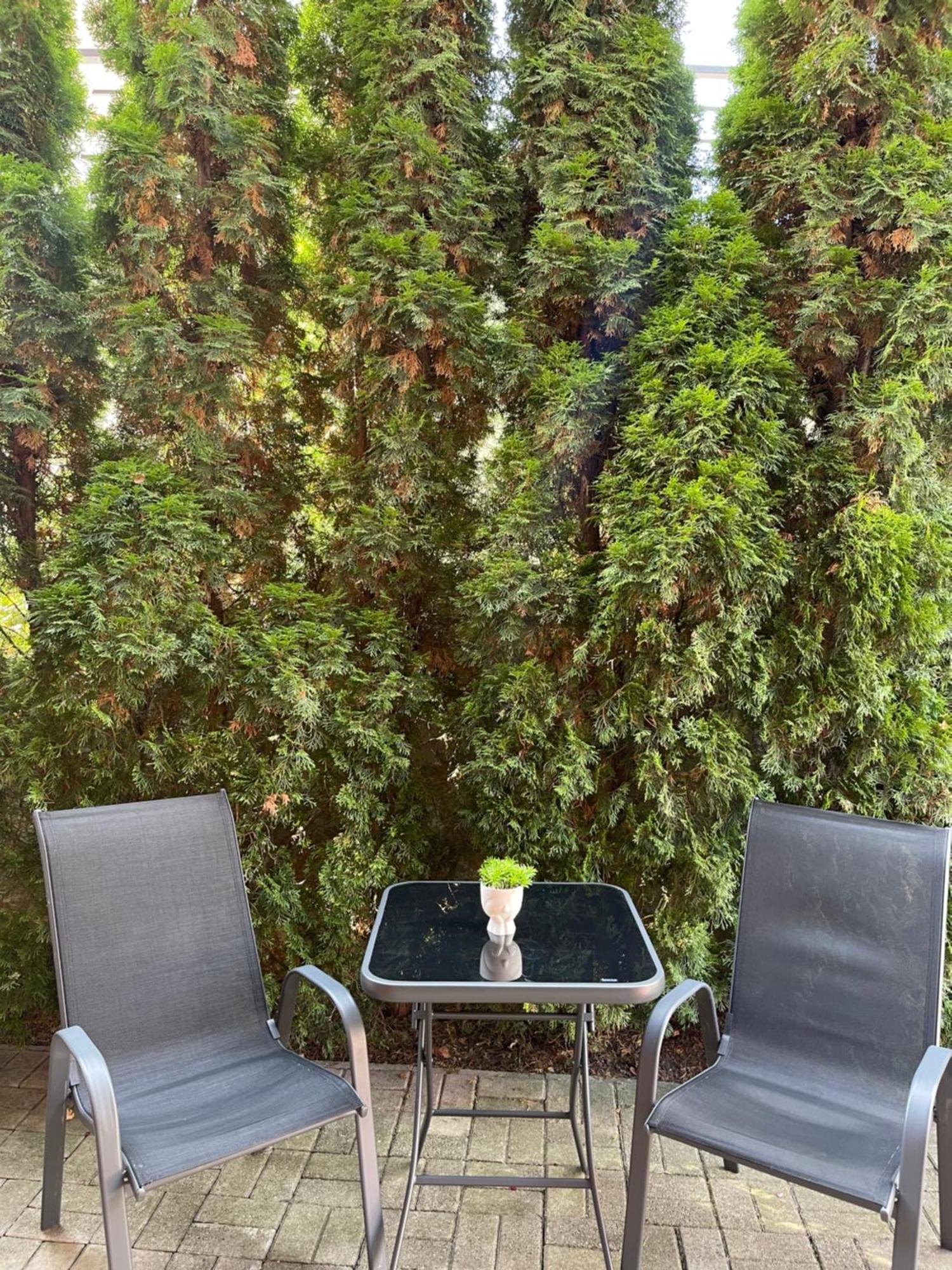 Apartman Gagi Златибор Екстер'єр фото